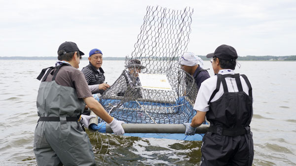茨城県初のウナギ生息モニタリング「石倉カゴ」設置記念式典開催　パルシステム