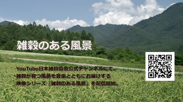 YouTube番組『雑穀のある風景』配信開始　日本雑穀協会