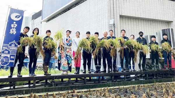 都心の屋上農園「白鶴銀座天空農園」2024年産酒米も無事収穫　白鶴酒造