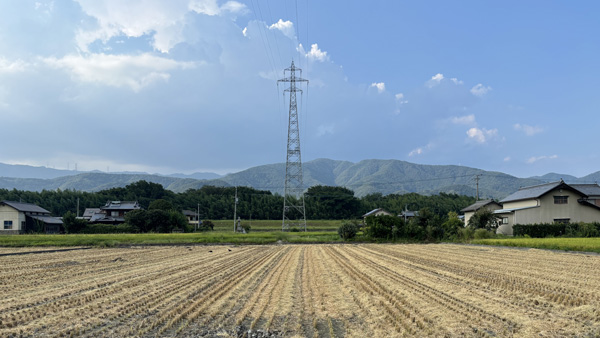 四国初「仮想メガファーム」構想　地元農家と横連携で構築　ユニバース
