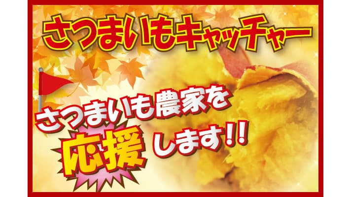 農家支援で「サツマイモキャッチャー」復活　エブリデイ行田店