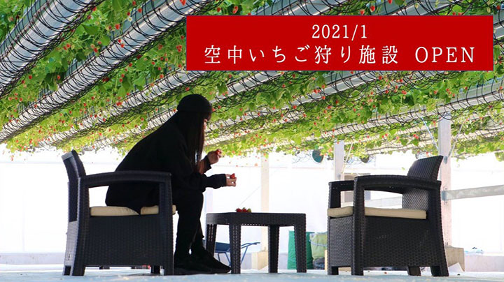 岐阜県安八郡に「空中いちご農園」オープン　CFで運用資金募集　ととりべファーム