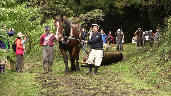 持続可能な社会づくりを応援「地域づくり基金」15団体へ助成　パルシステム