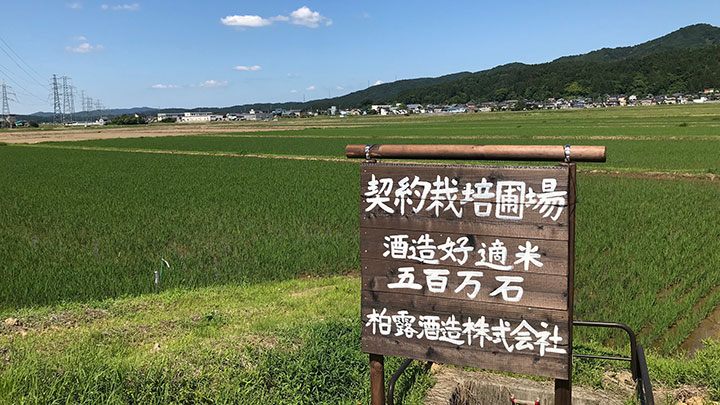 「さんずい　純米大吟醸」2商品を新発売　柏露酒造