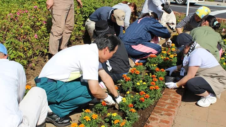 西千葉・稲毛エリアの住民へ「春の花植えイベント」開催　千葉大学