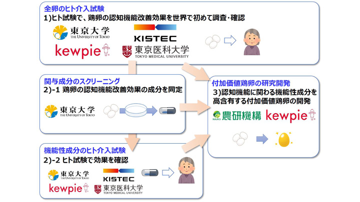 鶏卵の摂取で「認知機能改善効果」を解明　研究推進事業に採択　キユーピー