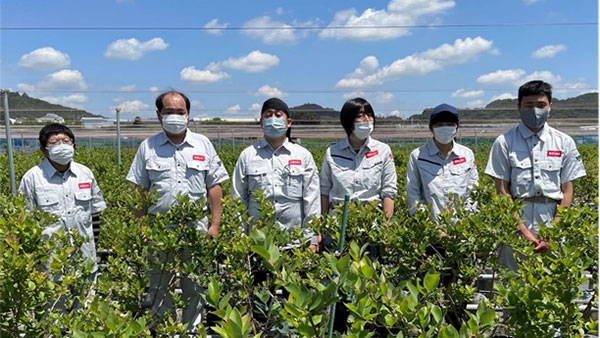 農福連携事業　神奈川県愛川町に「ケイアイファーム」開園