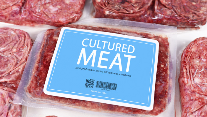 培養肉の市場規模　2028年までに348.800万米ドルに達する見込み
