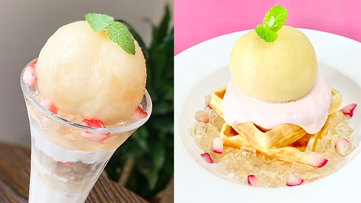 岡山・農園カフェ湯郷で数量限定「まるごと白桃スイーツ」発売　美作農園