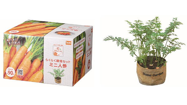 「DCM超かんたんらくらく栽培セット」人気の栽培セットに新品種登場