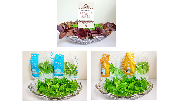 カルシウム＆ポリフェノールを補給「無農薬水耕栽培レタス」新発売　AML