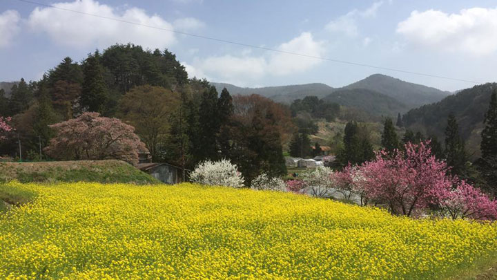 長野県麻績村産の新米「麻績美米」が発売　アリとキリギリス農園