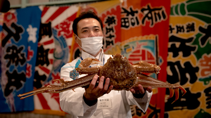 石川県産加能ガニ「輝」デビュー 初セリで500万円で落札 JFいしかわ