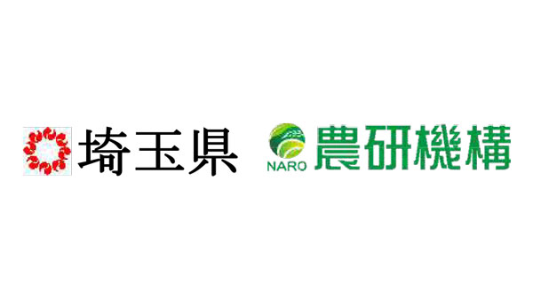 茶園の最低温度をピンポイント予測　スマホで確認できるシステム　埼玉県と開発　農研機構