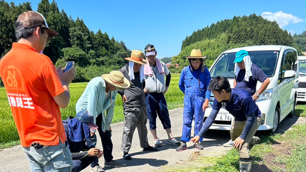 水稲栽培の課題解決「肥料設計セミナー」宮城県栗原市で開催　リンク