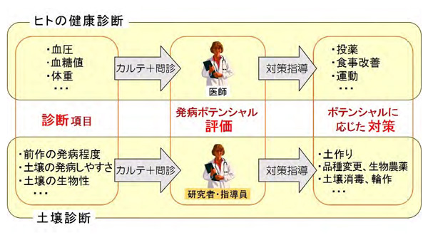 ほ場毎の土壌病害の"発病ポテンシャル"AI診断できるアプリ開発　農研機構