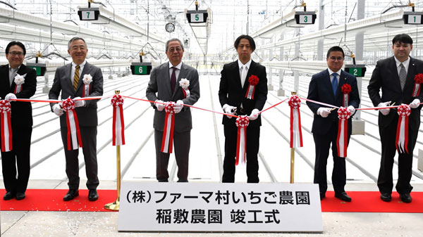 「ファーマ村いちご農園　稲敷農園」第一期竣工　持続可能な農業で高品質イチゴを大規模生産