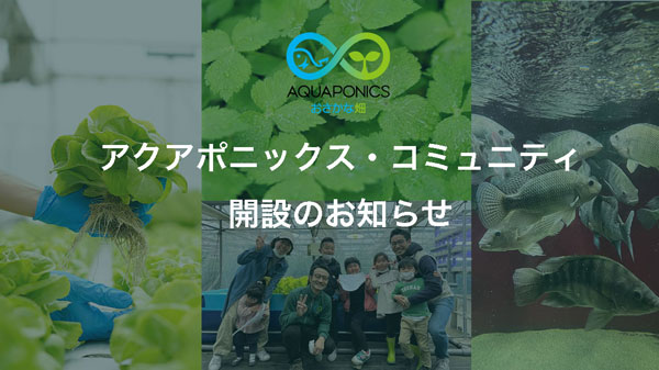 循環型農業"アクアポニックス"の課題解決へ「アクアポニックス・コミュニティ」開設