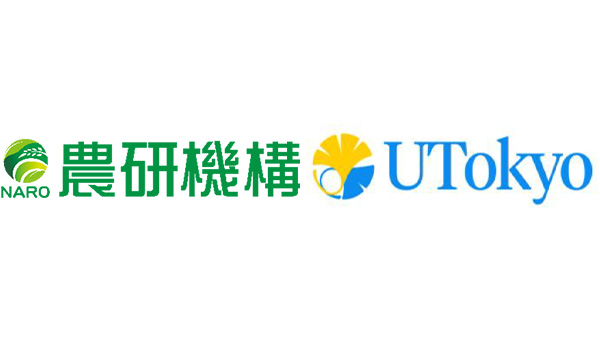 地上部生長から育種ほ場のテンサイ糖収量を予測　農研機構×東京大学