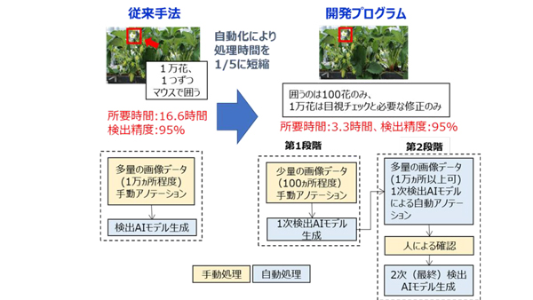 AI利用を促進　農作物のアノテーションへ効率化プログラム開発　SOPも公開　農研機構