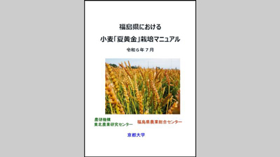 「福島県における小麦『夏黄金』栽培マニュアル」公開　農研機構