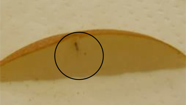 【特殊報】ナシ果実にサクセスキクイムシによる被害　県内で初めて確認　福島県