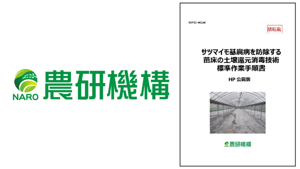 「サツマイモ基腐病を防除する苗床の土壌還元消毒SOP」第2版を公開　農研機構