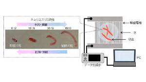 ネムリユスリカ幼虫を用いて"生存圏探索デバイス"開発　理研など研究グループ