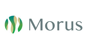 「カイコ」テクノロジーを活用　グリーンバイオ産業の創出プロジェクトに採択　Morus