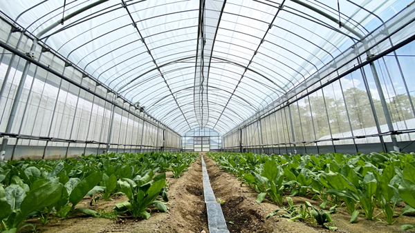 農業プロジェクト「ReFarm by SOLAMENT」本格始動　住友金属鉱山