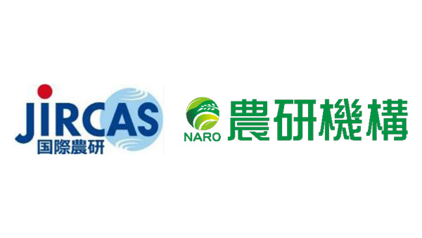 石垣島で「生産」と「消費」から窒素負荷を見える化　国際農研×農研機構