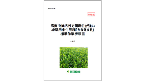 主要病虫害に強い緑茶用新品種「かなえまる」標準作業手順書を公開　農研機構