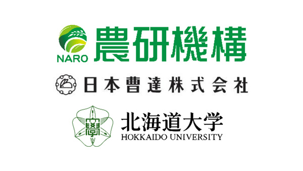 大量合成可能なジャガイモシロシストセンチュウ　ふ化促進物質を発見
