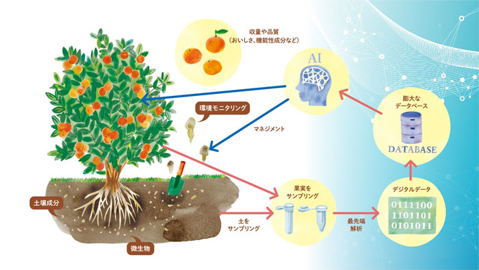 環境再生型農業の実現へ　農業のデジタルツインに関する共同研究を開始　NTT西日本など
