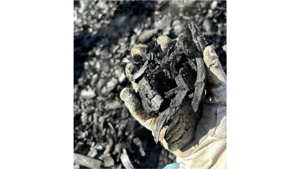 バイオ炭の農地施用による炭素貯留量　簡便に算出する手法開発　農研機構