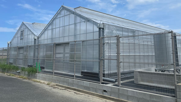 九州大学とwelzo　CO2排出ゼロの窒素肥料開発へ共同研究開始