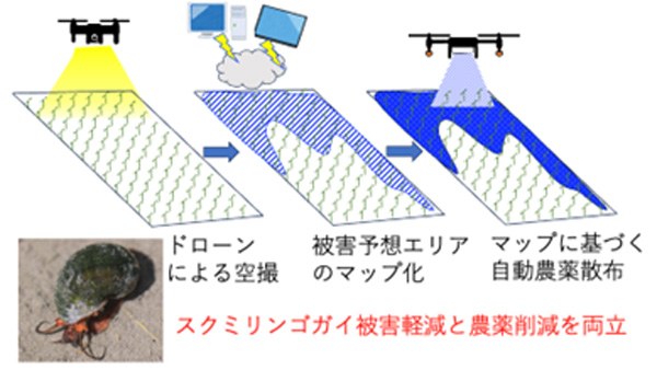 「ジャンボタニシ」の食害被害を防ぐ新技術開発　ドローンで被害を事前予測・スポット散布　農研機構