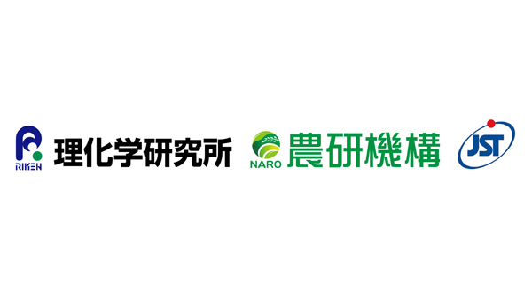 植物は「危険サイン」で寄生線虫を察知　糸状菌や昆虫も同じ仕組みで認識か　理研×農研機構×JST
