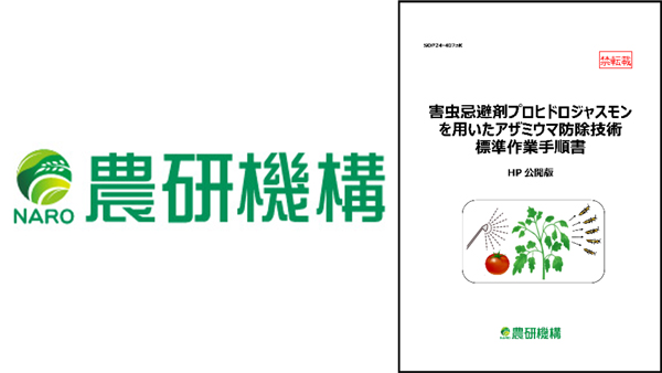害虫忌避剤プロヒドロジャスモンを用いたアザミウマ防除　SOPを公開　農研機構