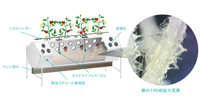 エアロポニックスの仕組みをわかりやすく 解説動画を公開 霧のいけうち