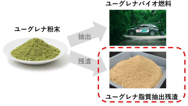 微細藻類由来の有機液肥で農作物栽培実証　ユーグレナなど