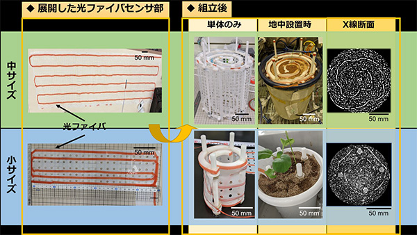地中の生物をリアルタイムで可視化「Fiber-RADGET」開発　JAMSTEC×農研機構