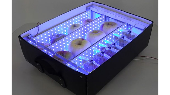 リンゴやブドウの着色を促す「果実発色促進装置」誕生　生研支援センター