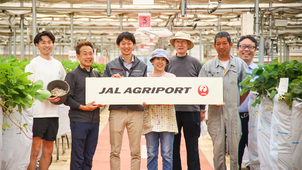 JAL Agriport　いちご農園にエステック製「100％紙製苗止めクリップ」採用