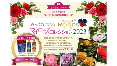 みんなでつくるマイローズコレクション2023」バラの写真を募集 住友