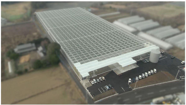 収量最大化と環境負荷低減を両立　最先端グリーンハウスを受注・竣工　NTTアグリテクノロジー