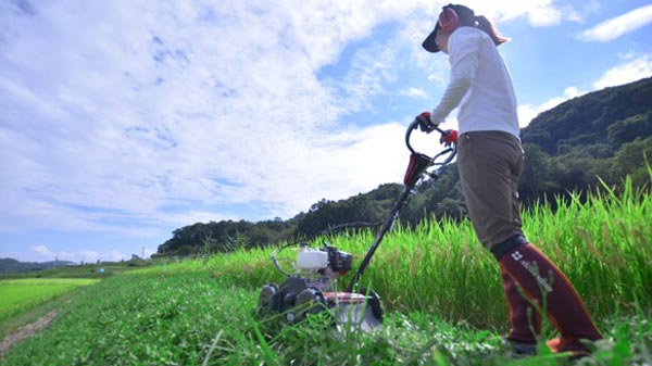 レバーを引いて歩くだけ「自走草刈機 速刈り君」発売 コメリ | JAcom