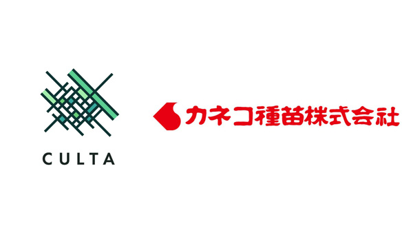 CULTAとカネコ種苗　サツマイモ育種に関する共同研究を開始