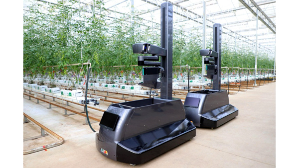 トマト自動収穫ロボット　量産・商用化に向けた最新型を発表　inaho