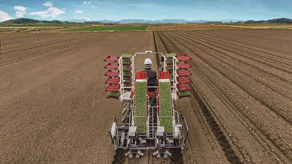 直進アシスト機能搭載　乗用全自動野菜移植機「PW200Rシリーズ」発売　ヤンマーアグリ